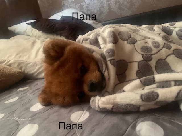 carousel-image-mobile-5