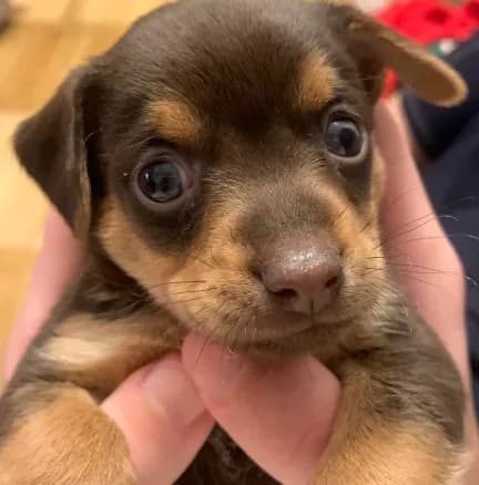 carousel-image-mobile-1