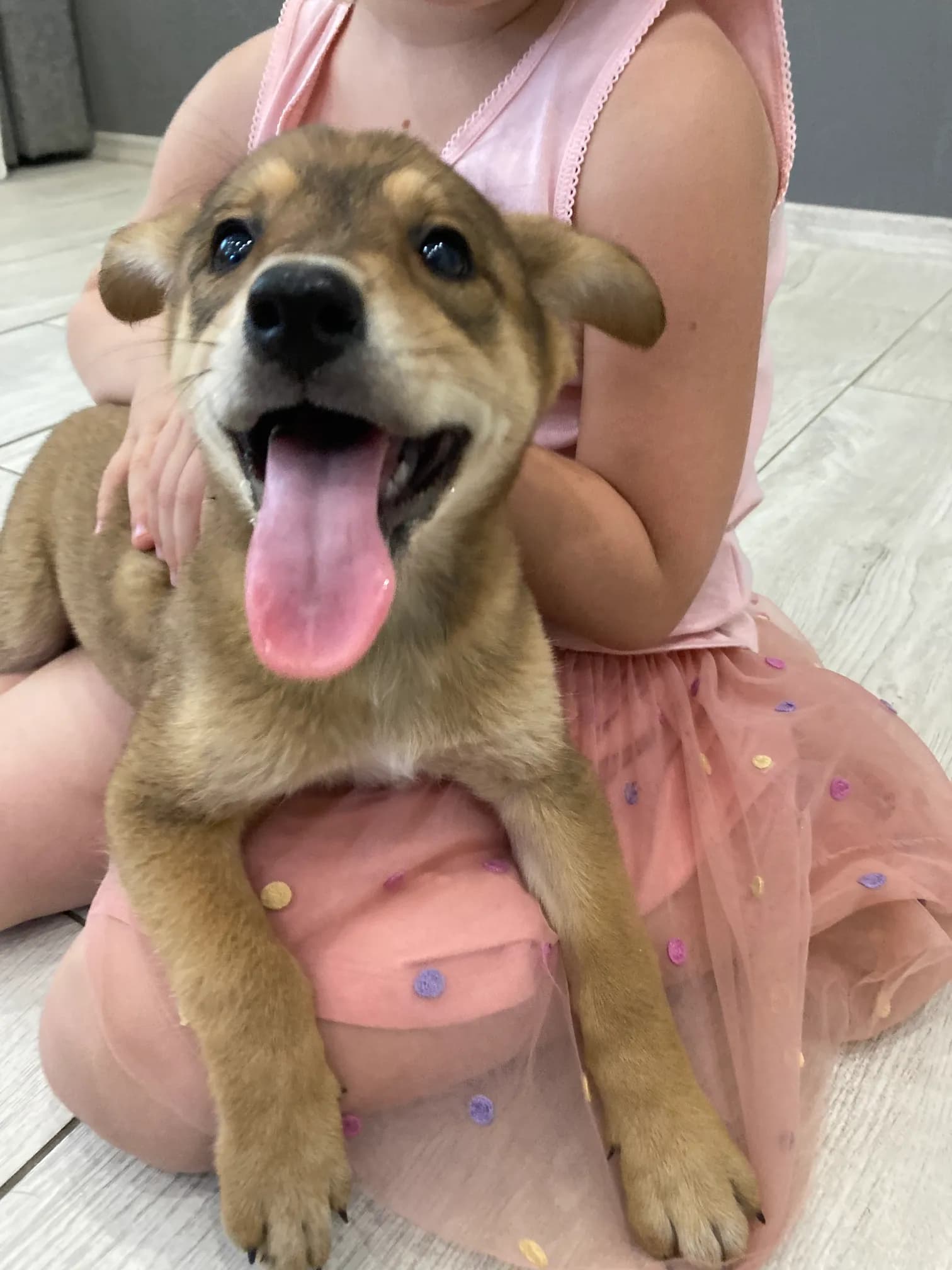 carousel-image-mobile-1