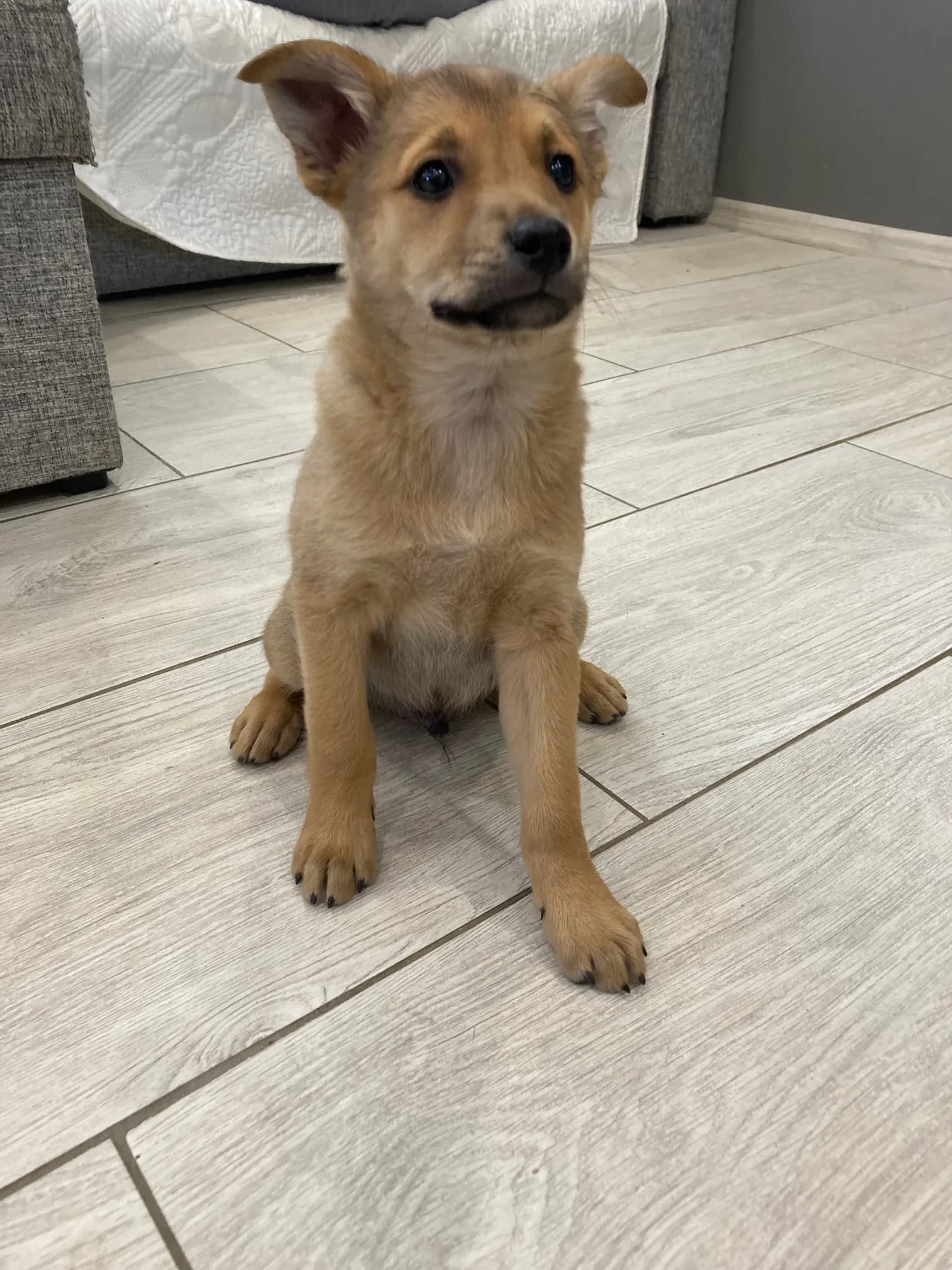 carousel-image-mobile-2