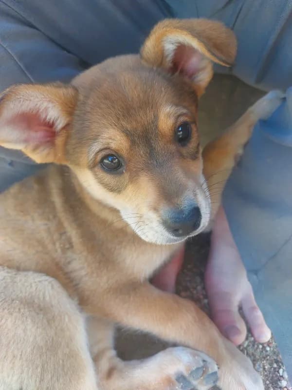 carousel-image-mobile-3