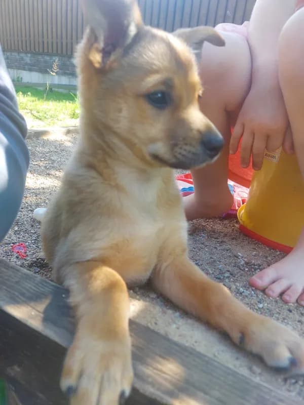 carousel-image-mobile-4