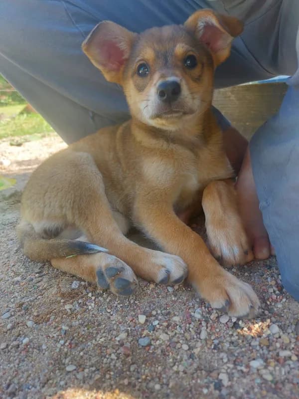 carousel-image-mobile-5