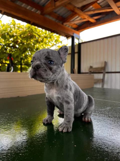 carousel-image-mobile-1