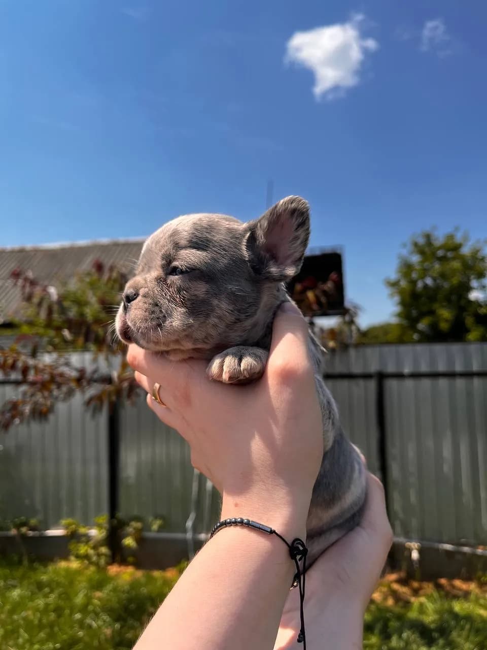 carousel-image-mobile-2