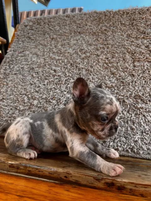 carousel-image-mobile-3