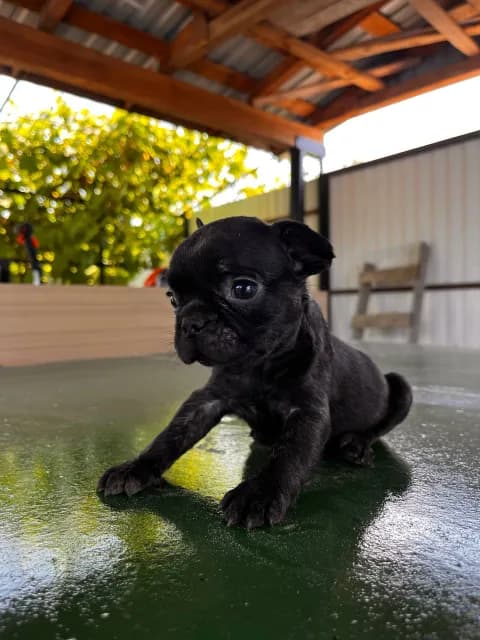 carousel-image-mobile-1