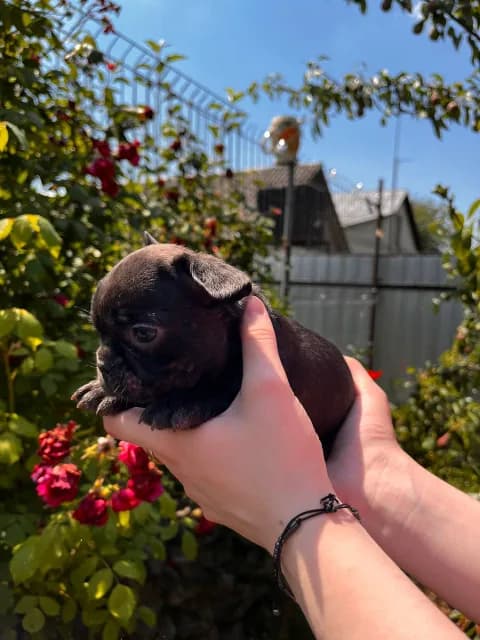 carousel-image-mobile-2