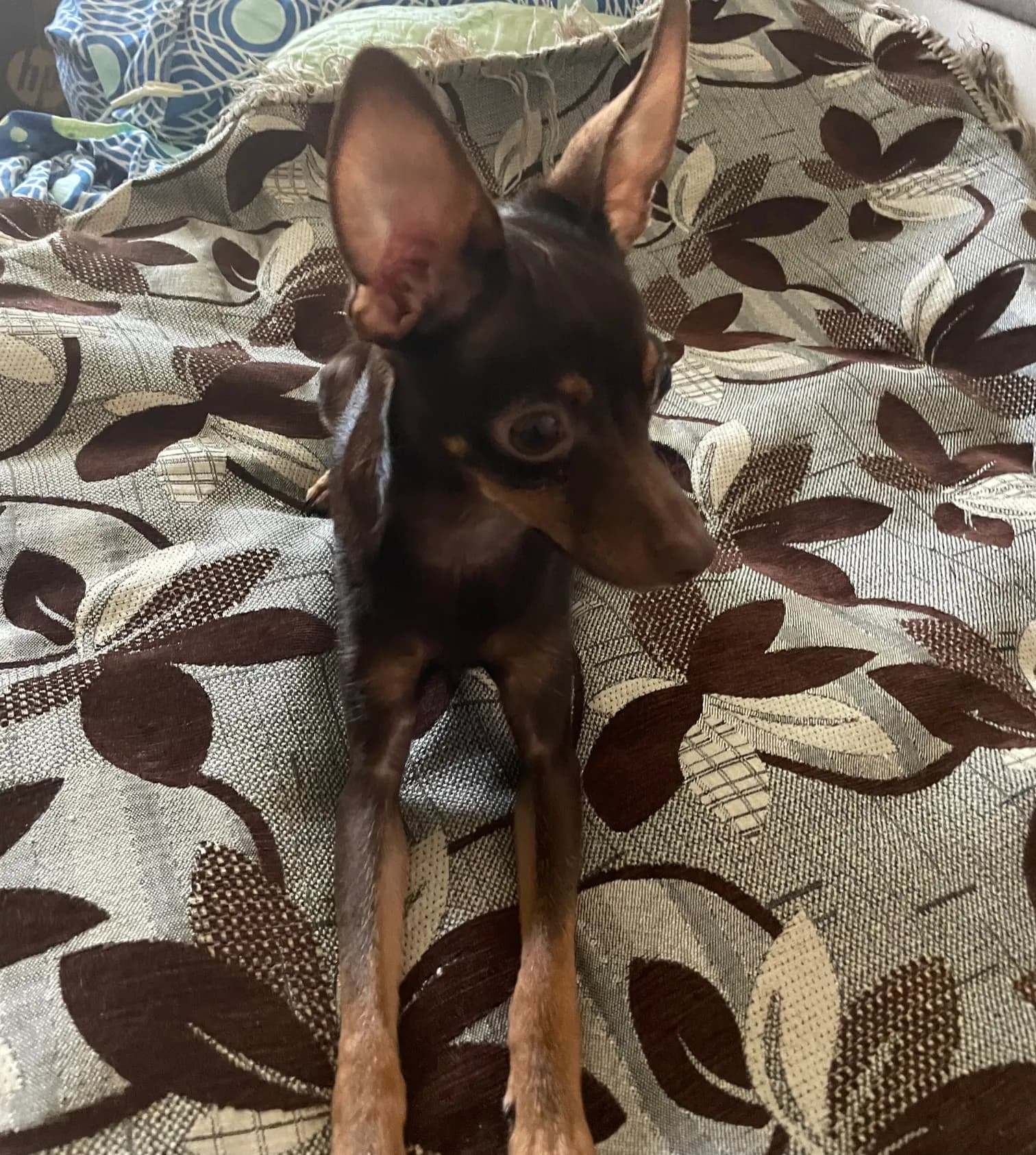 carousel-image-mobile-1