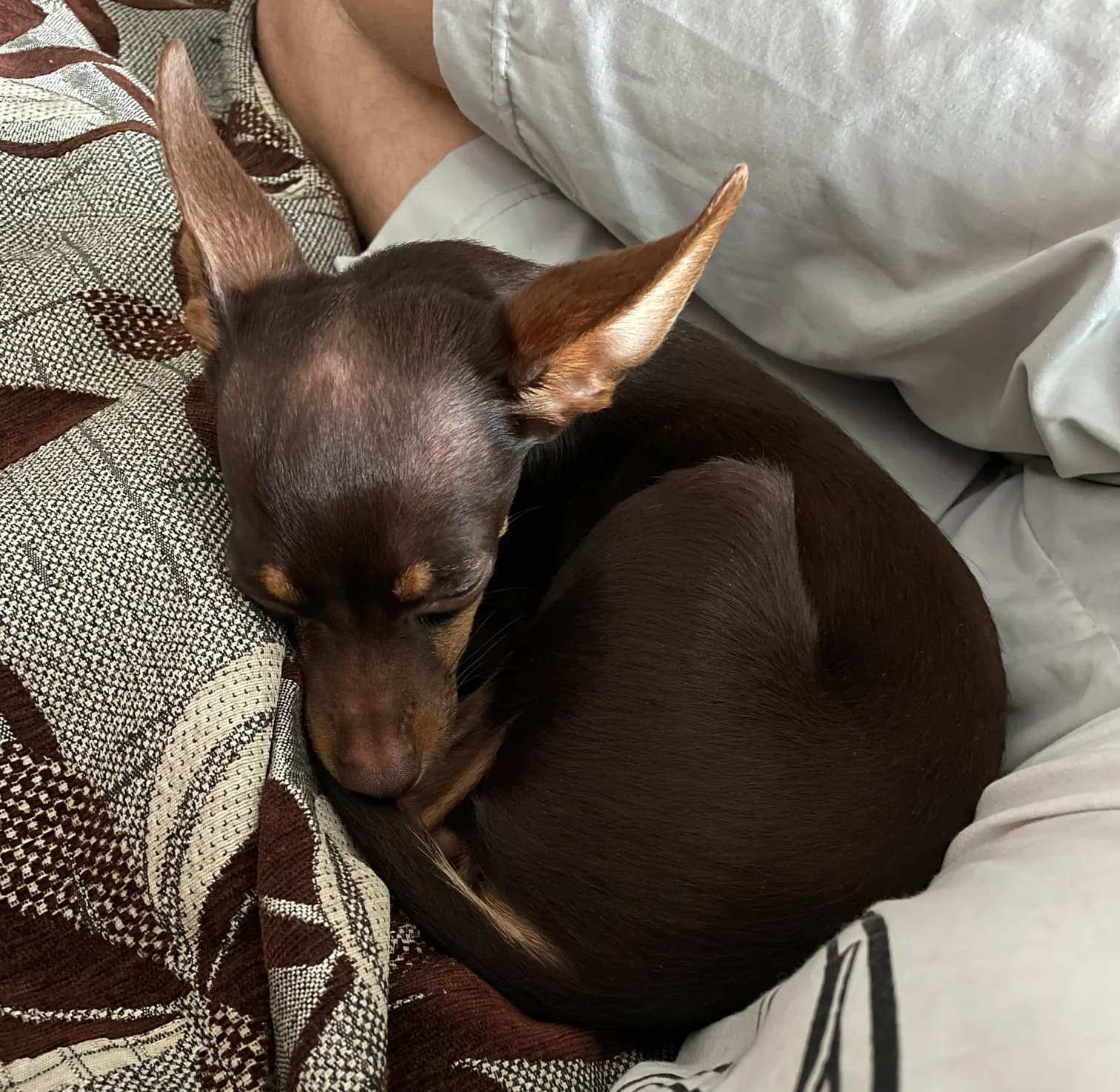 carousel-image-mobile-2