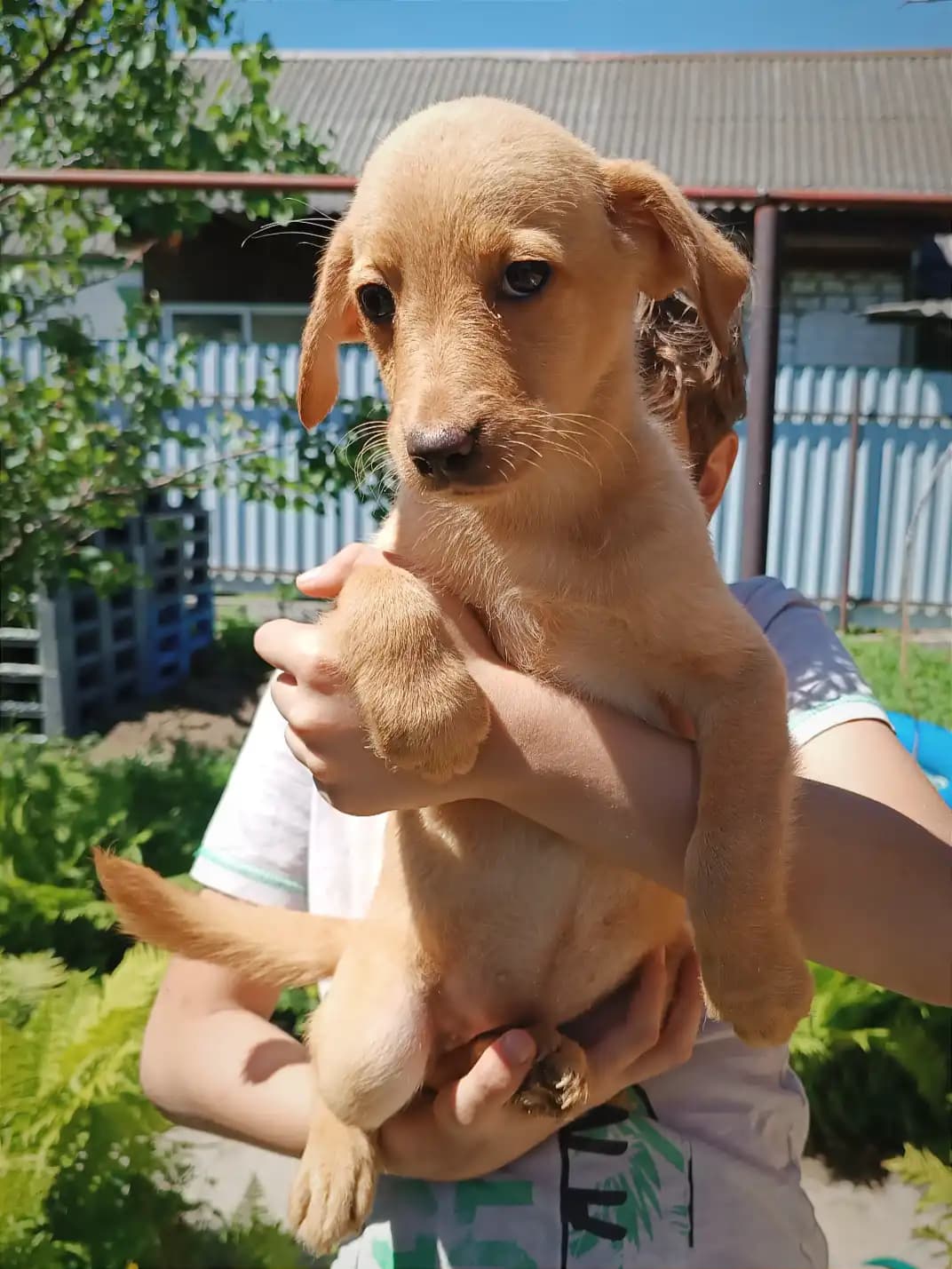 carousel-image-mobile-1