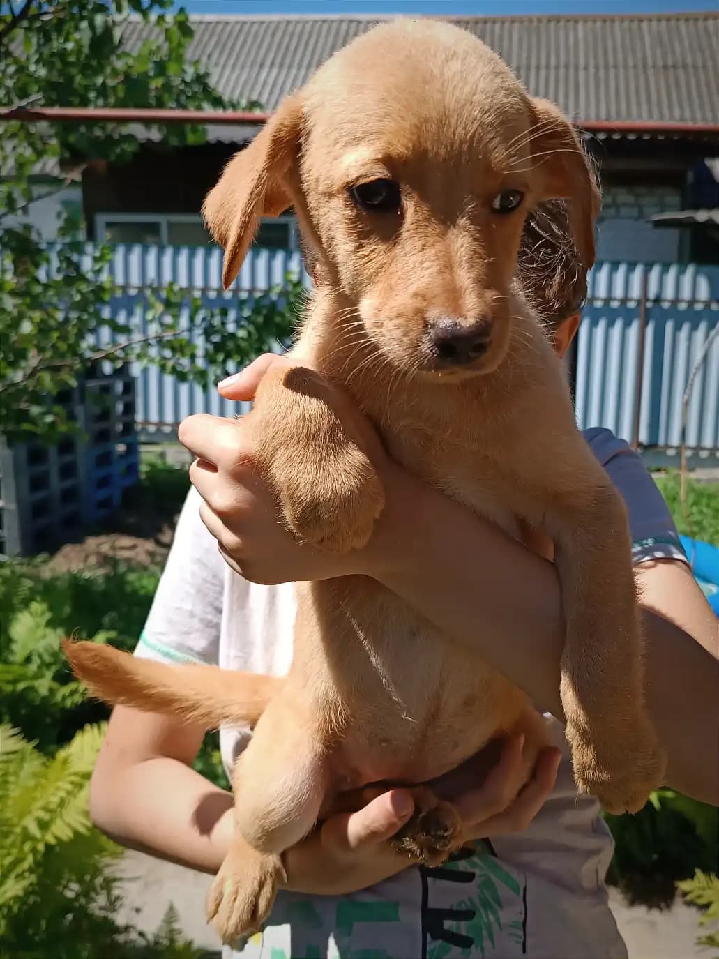 carousel-image-mobile-2