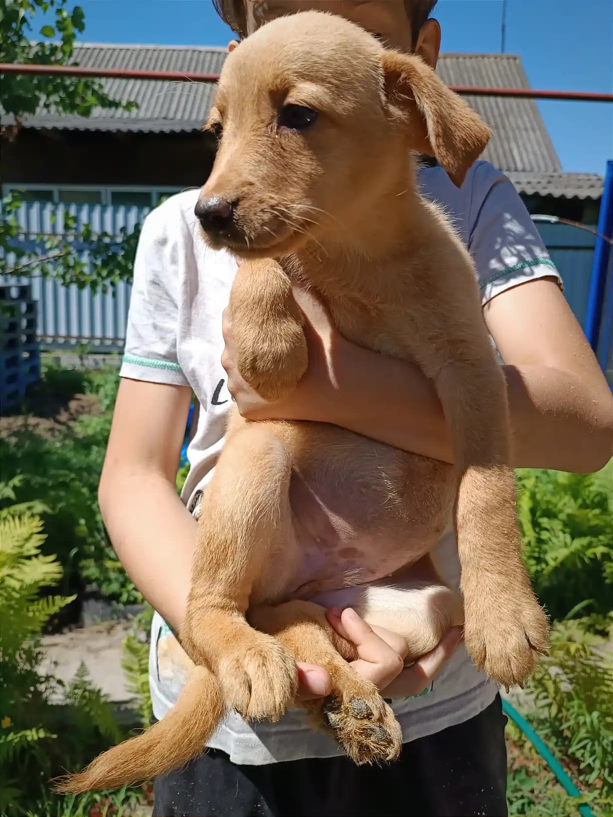 carousel-image-mobile-3