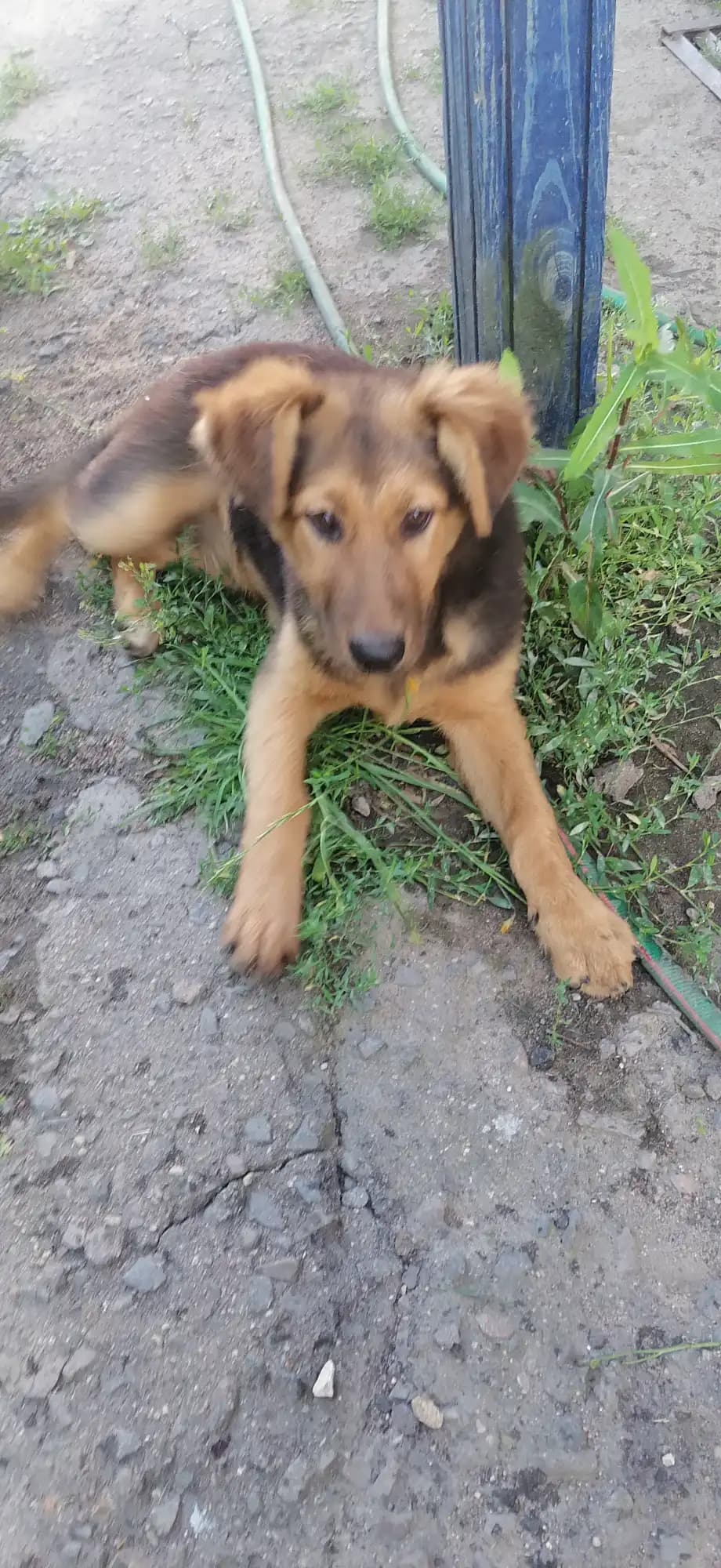 carousel-image-mobile-1