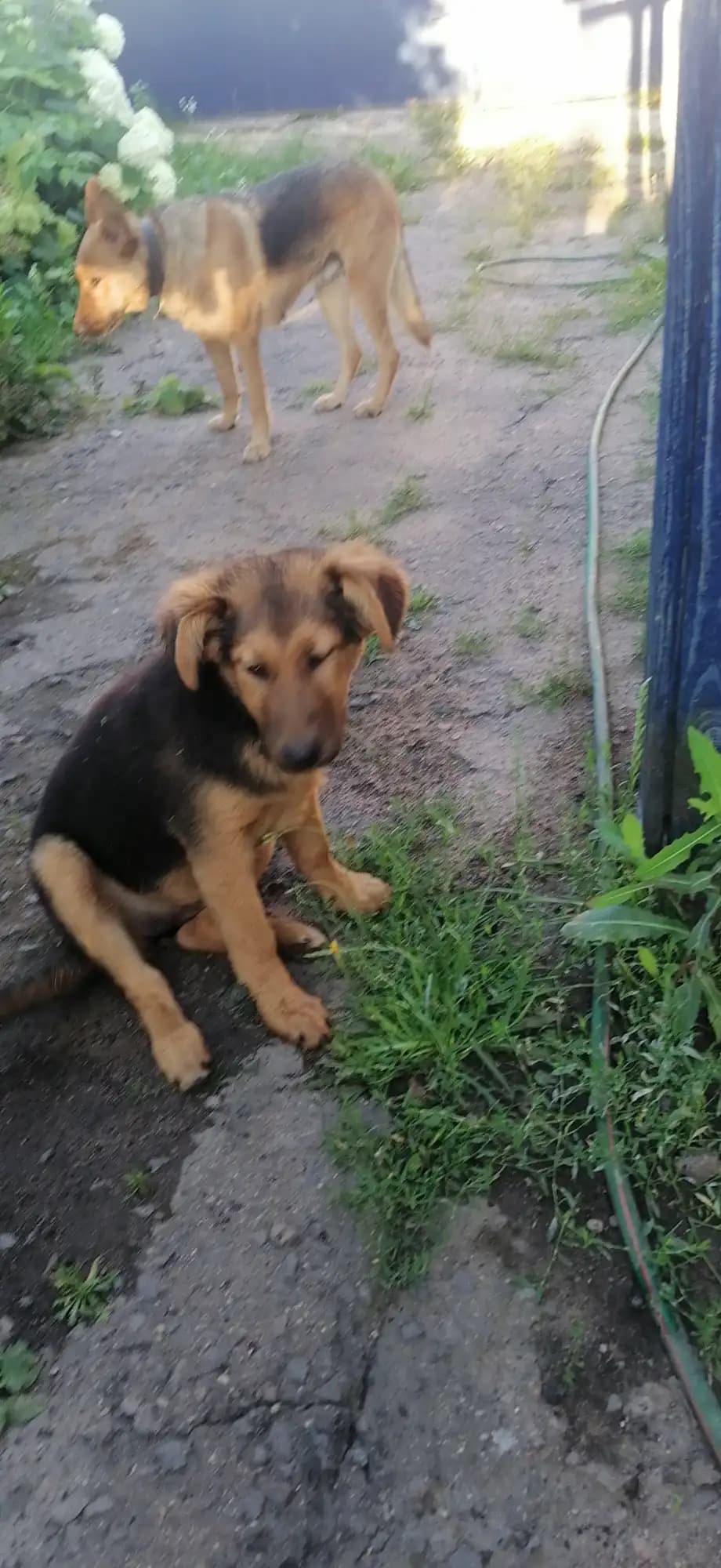 carousel-image-mobile-2