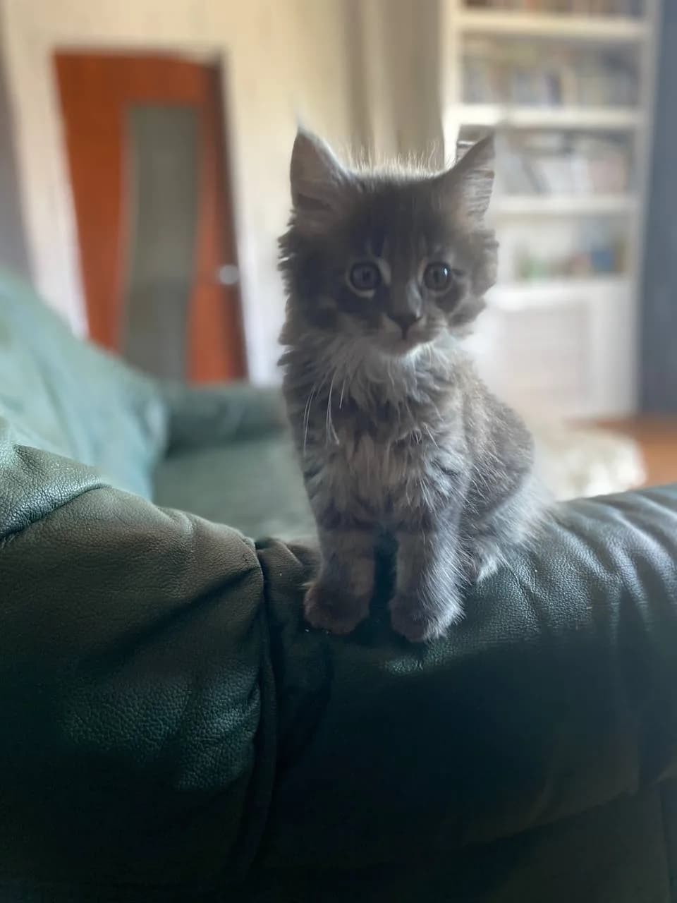 carousel-image-mobile-1