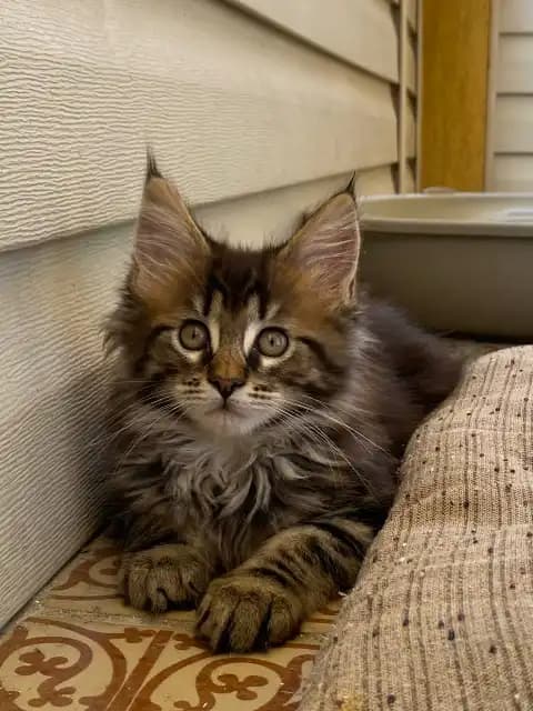 carousel-image-mobile-2