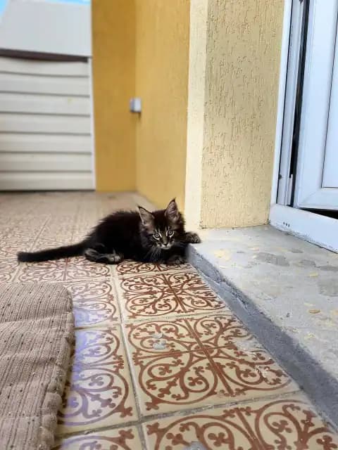 carousel-image-mobile-3