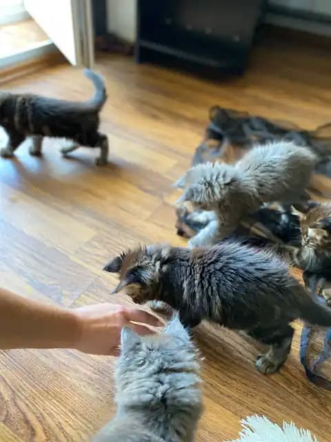 carousel-image-mobile-4