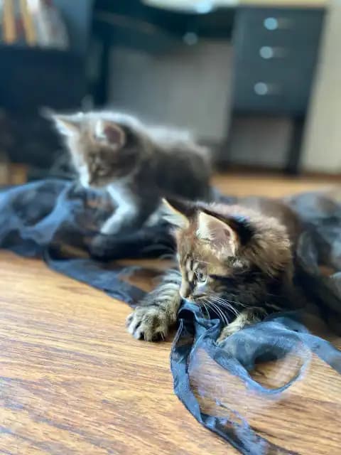 carousel-image-mobile-5