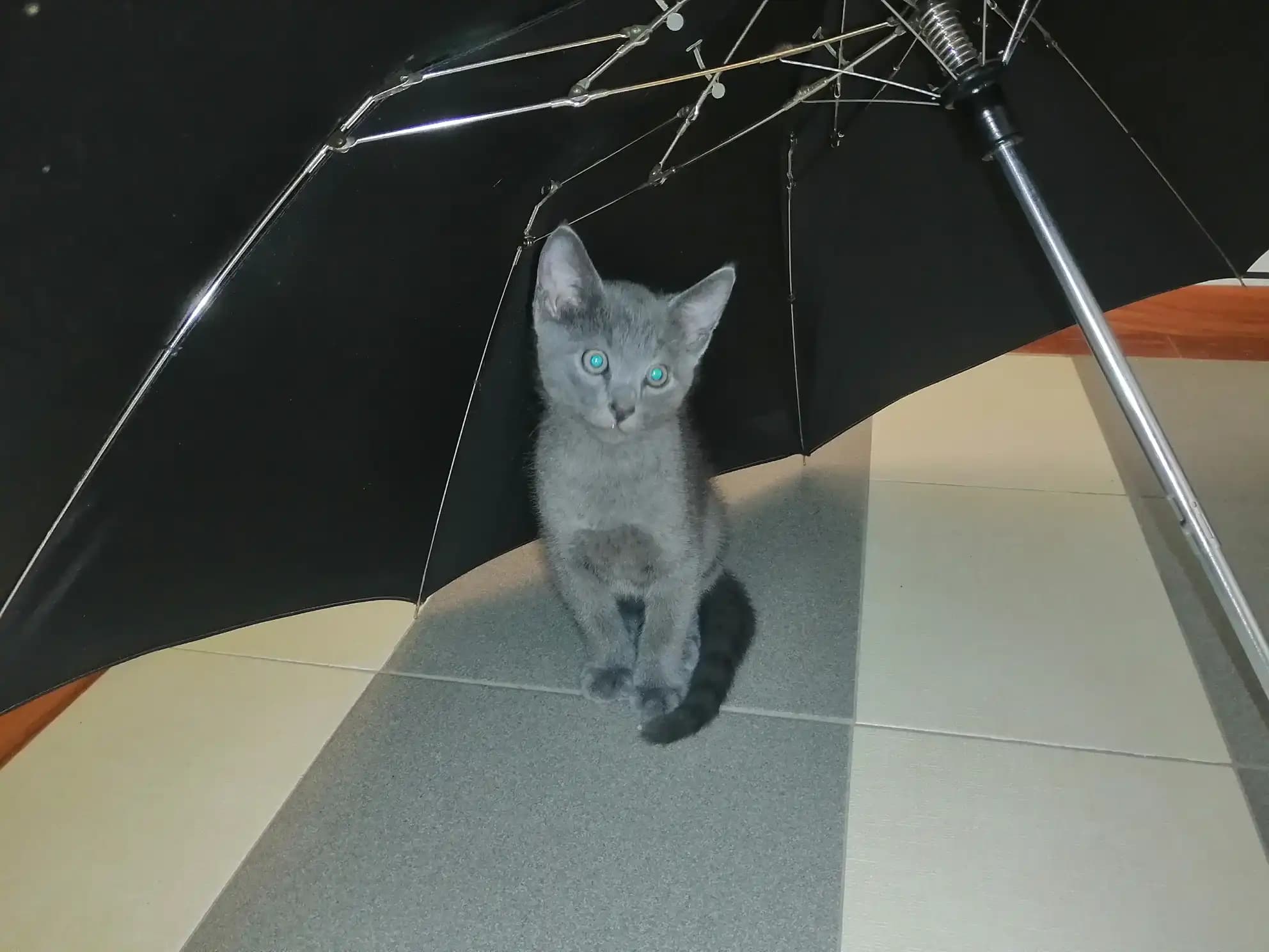 carousel-image-mobile-1