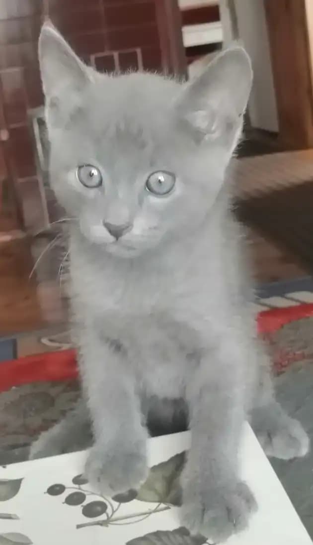 carousel-image-mobile-3