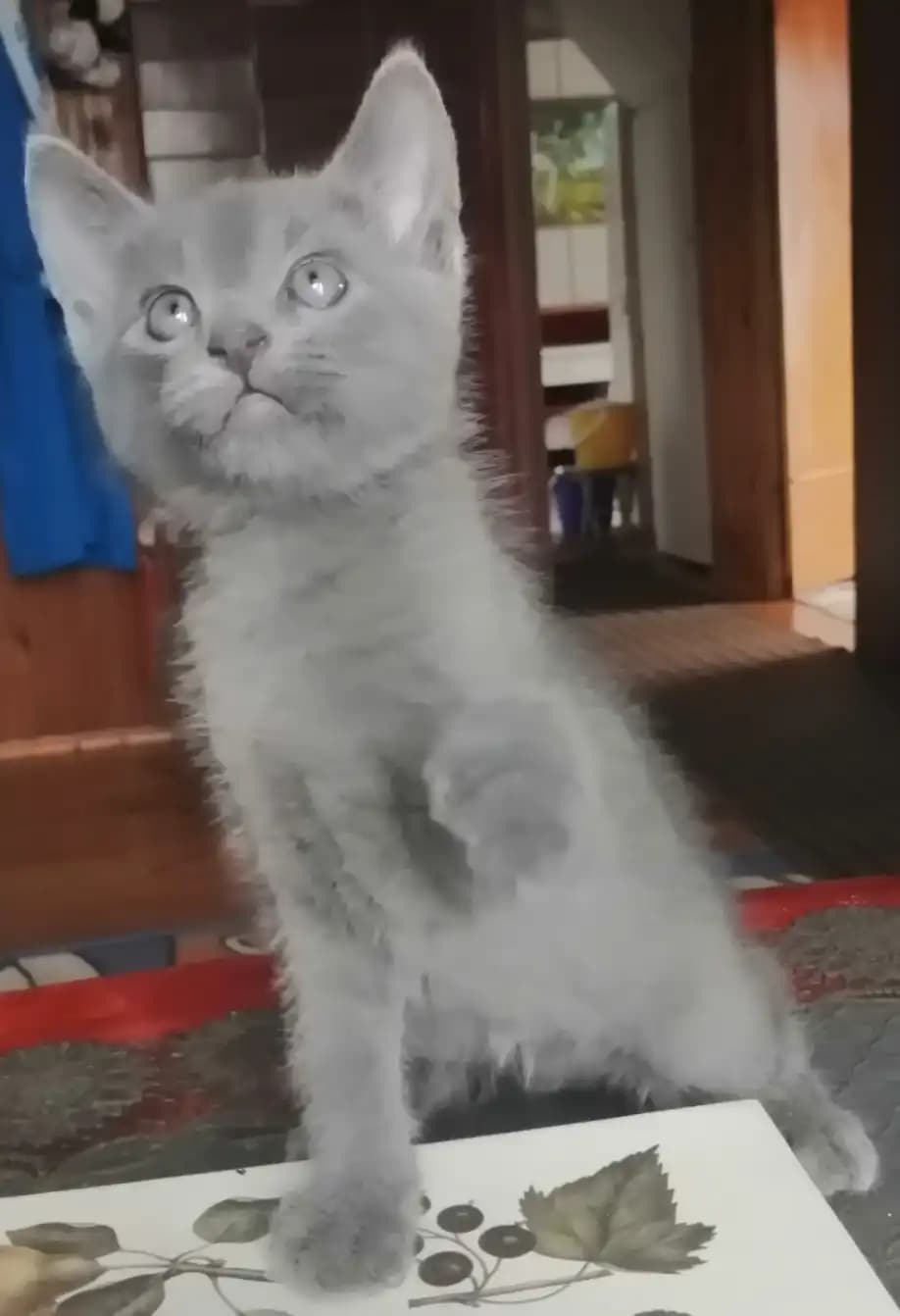 carousel-image-mobile-4