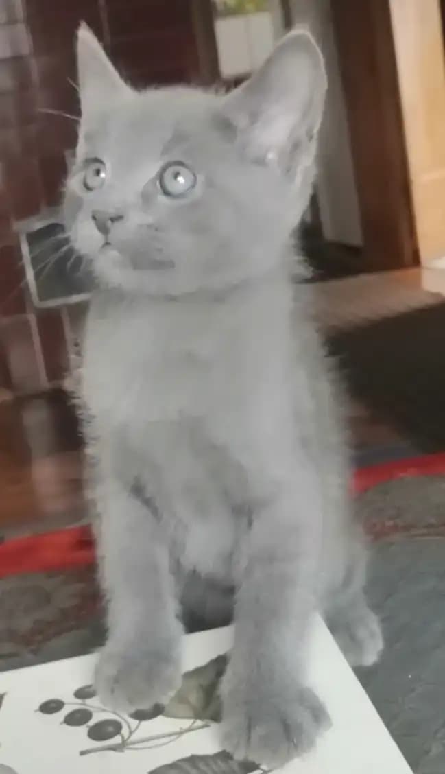 carousel-image-mobile-5