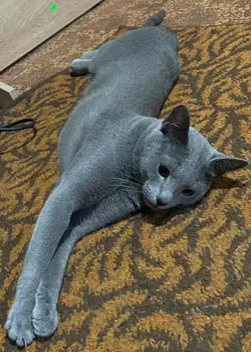 carousel-image-mobile-6