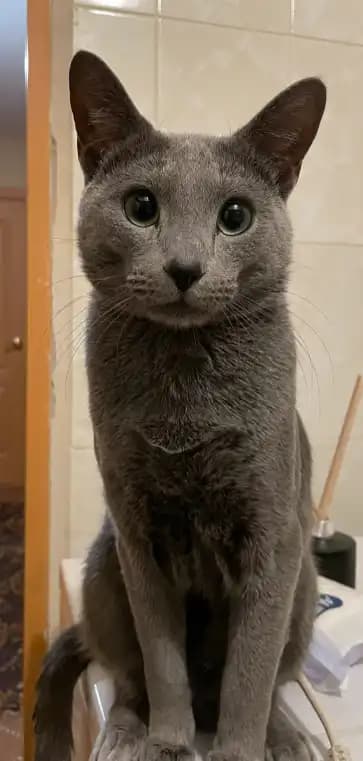 carousel-image-mobile-7