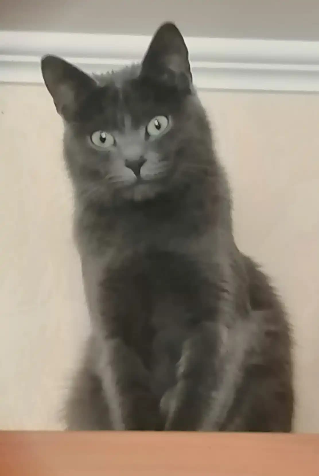 carousel-image-mobile-8