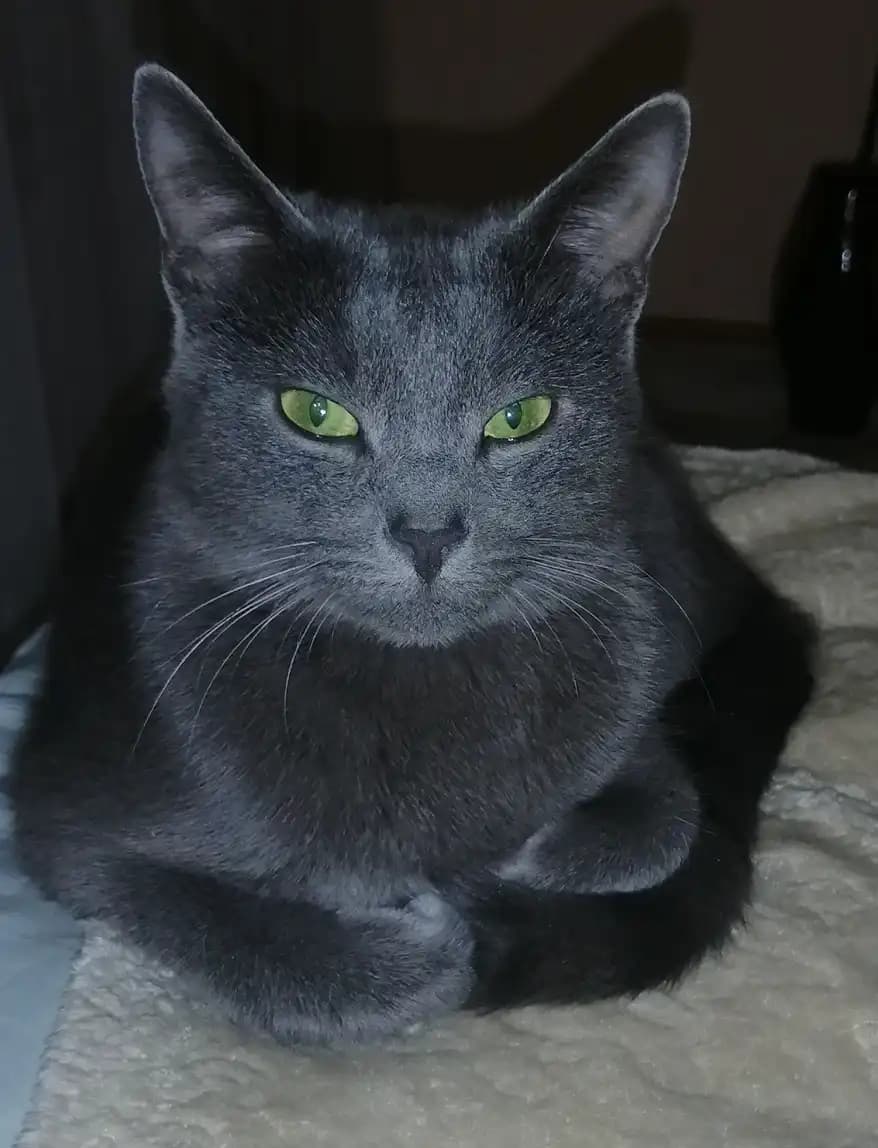 carousel-image-mobile-9