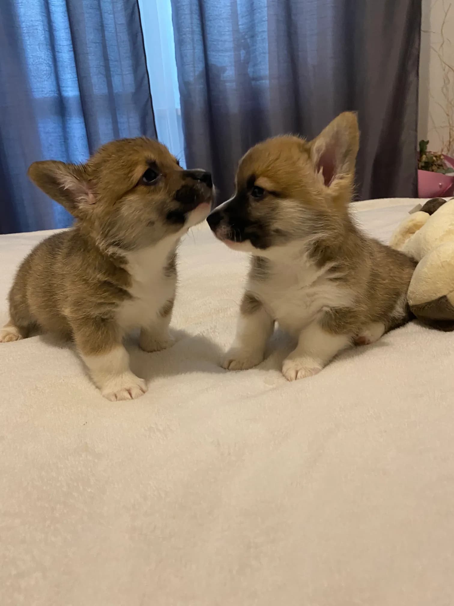 carousel-image-mobile-2