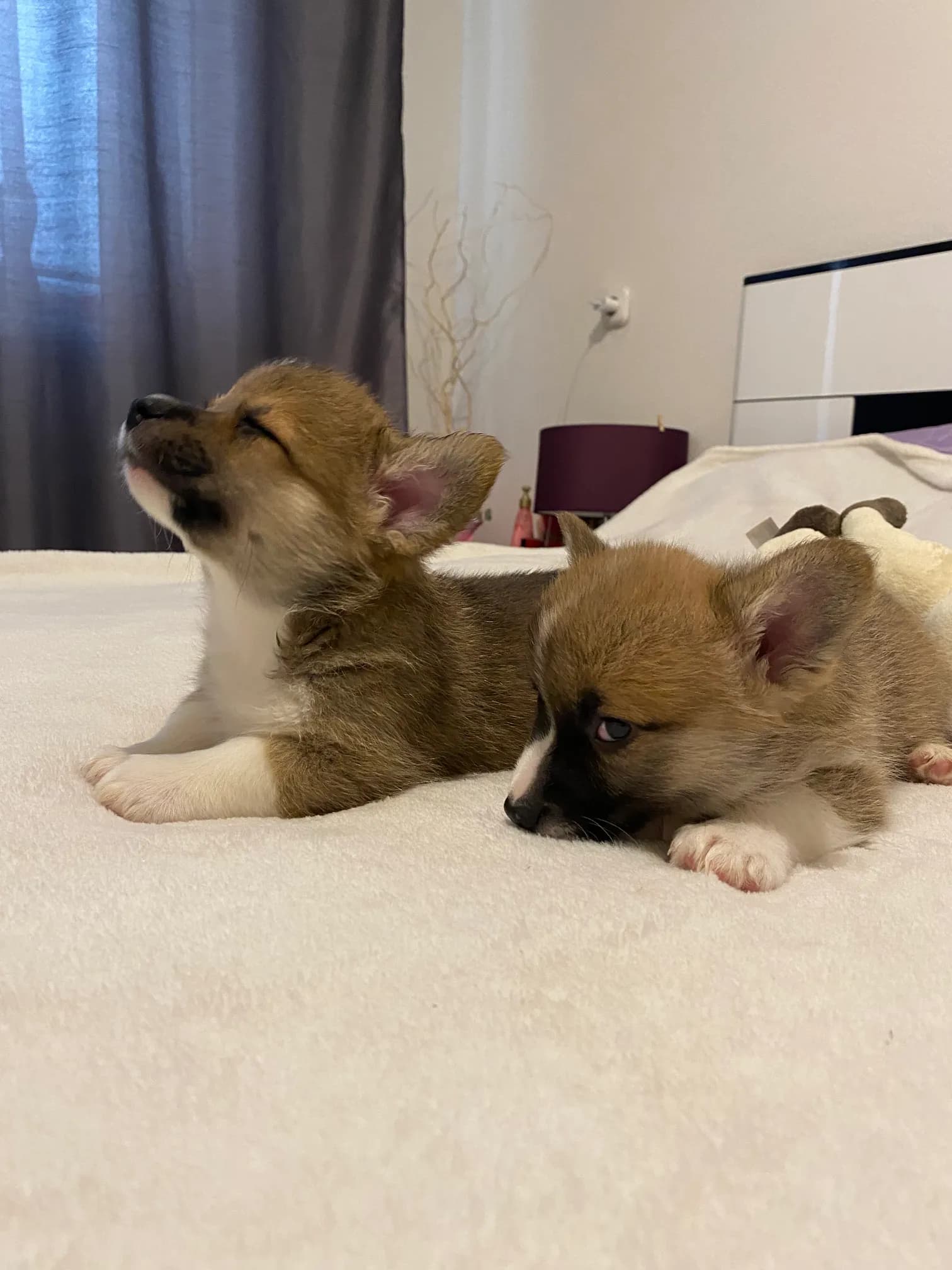 carousel-image-mobile-3