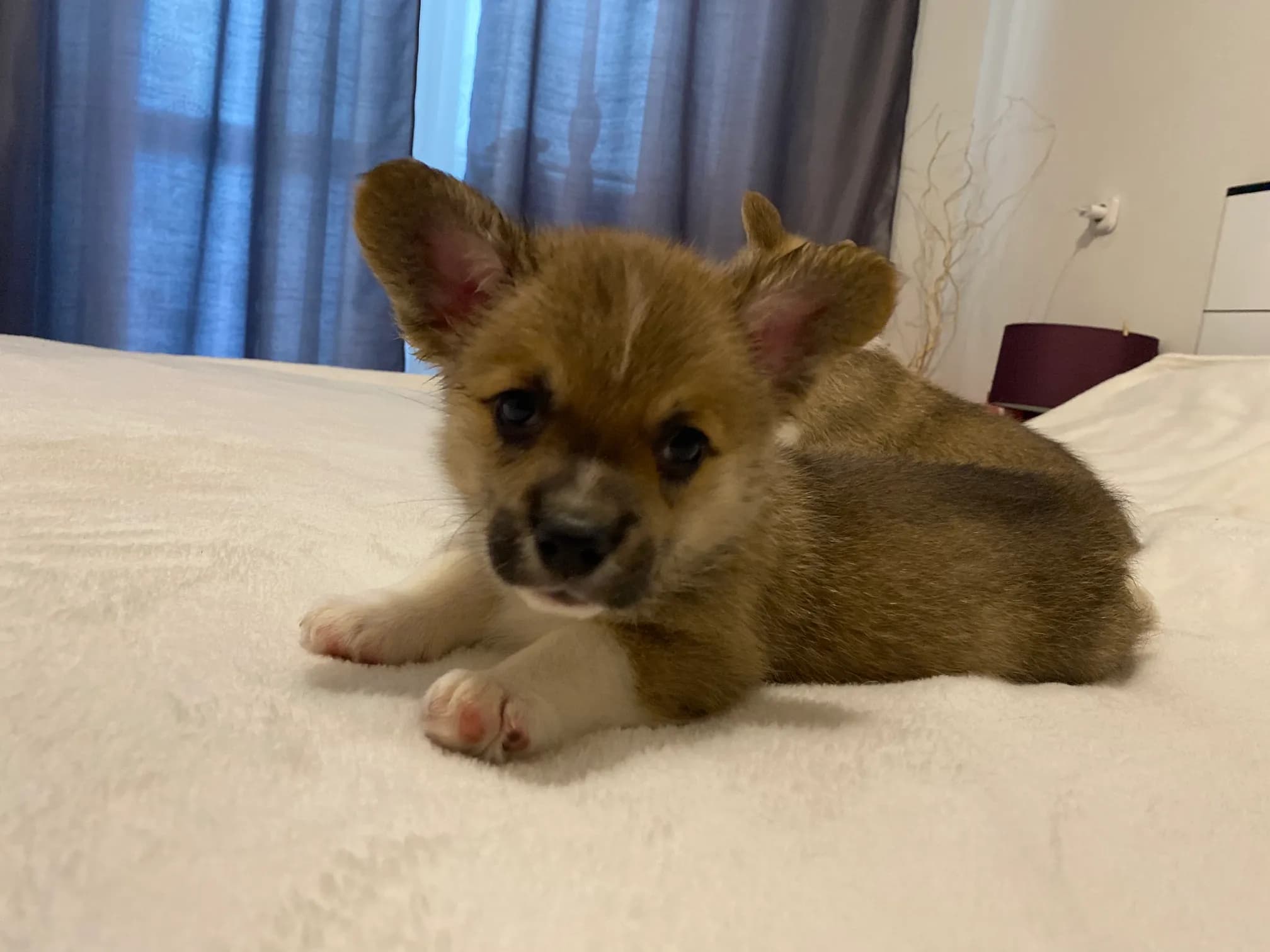 carousel-image-mobile-4