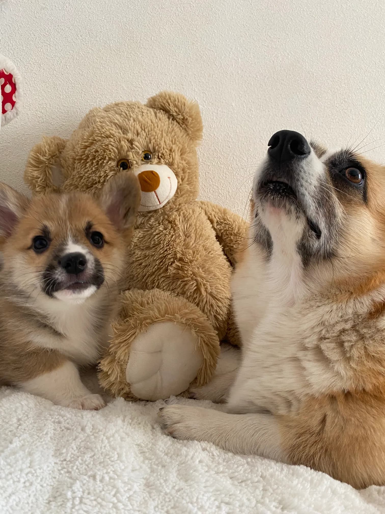 carousel-image-mobile-7