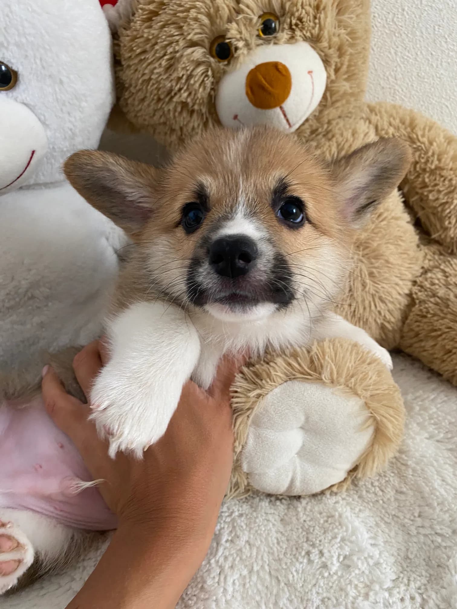 carousel-image-mobile-8