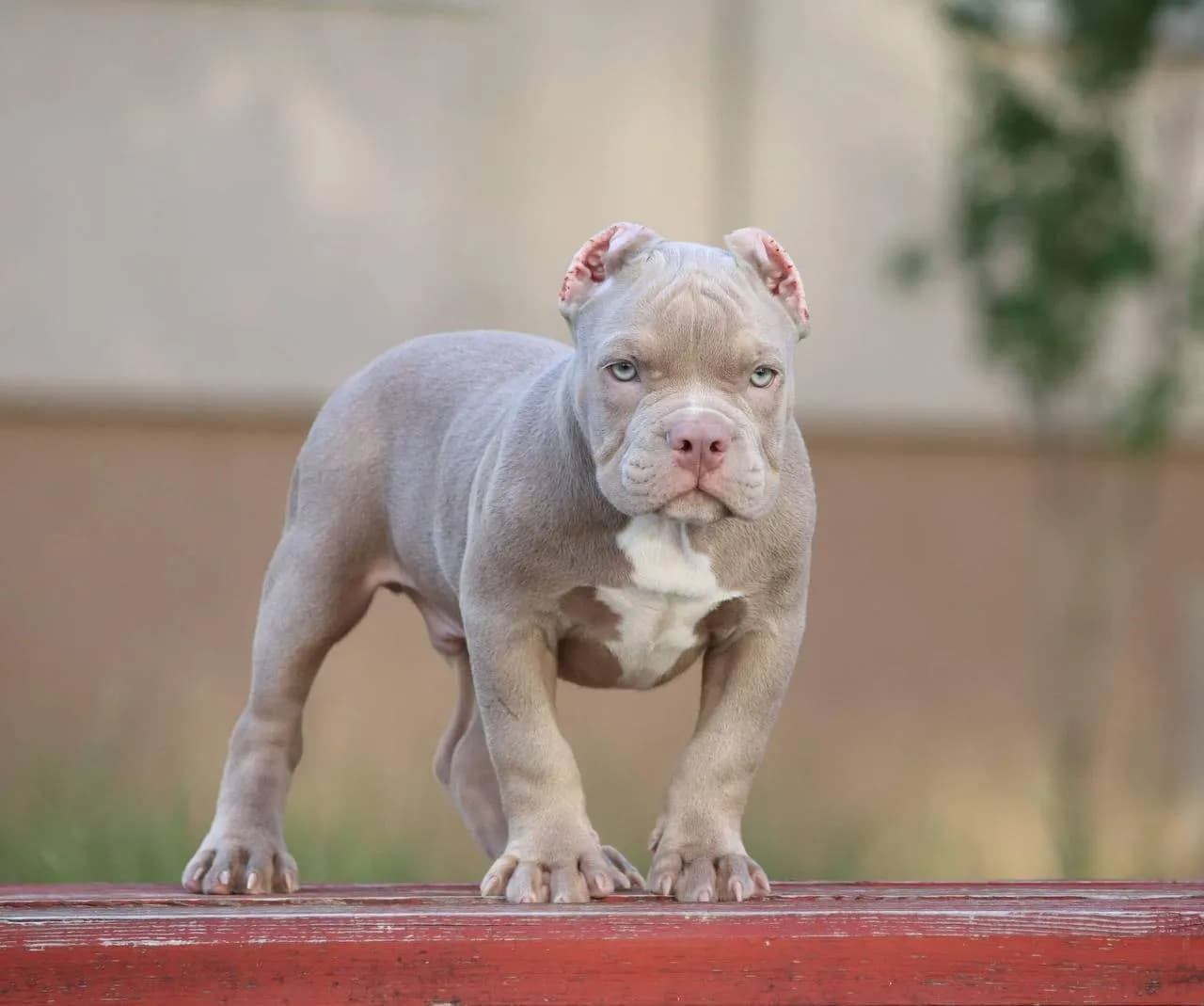 carousel-image-mobile-1