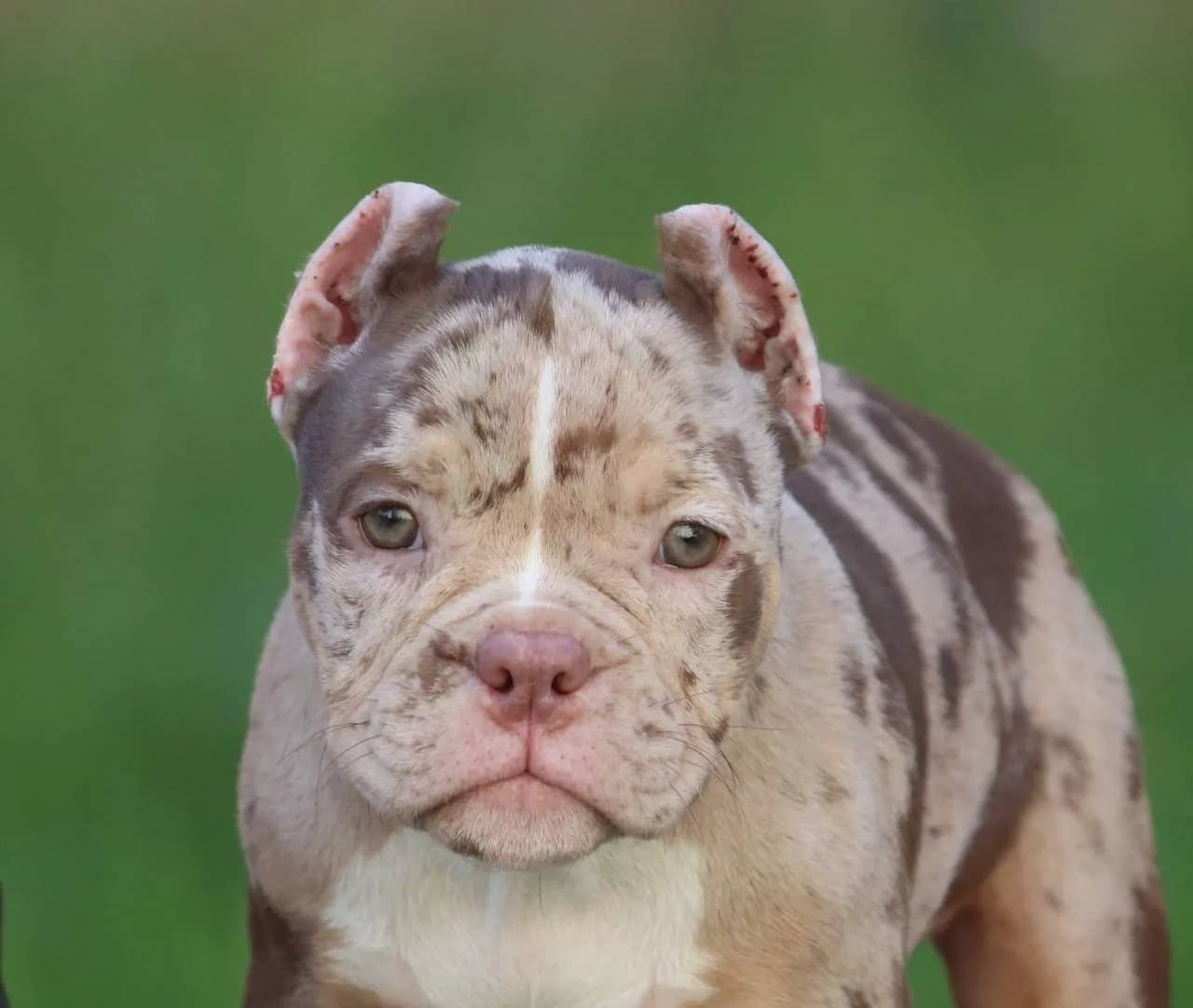 carousel-image-mobile-1