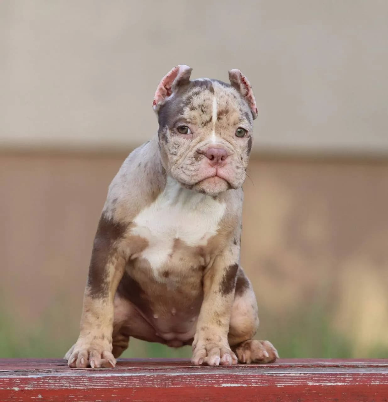 carousel-image-mobile-2