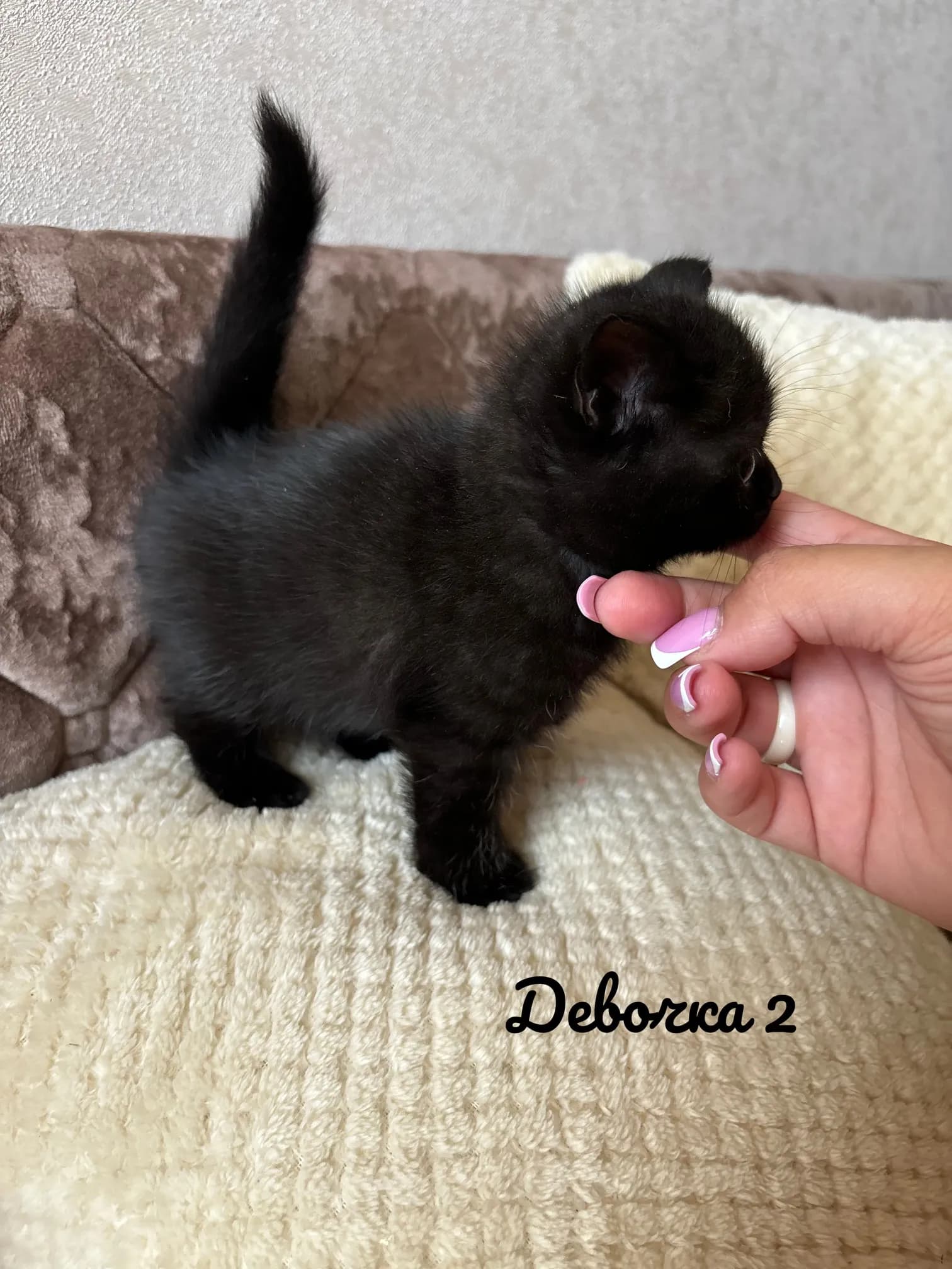 carousel-image-mobile-1