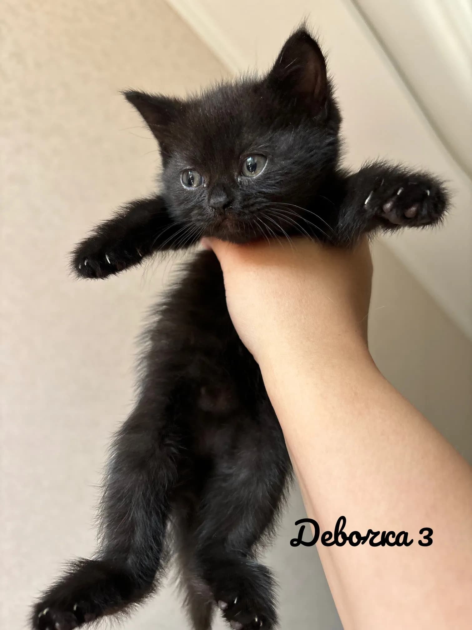 carousel-image-mobile-2