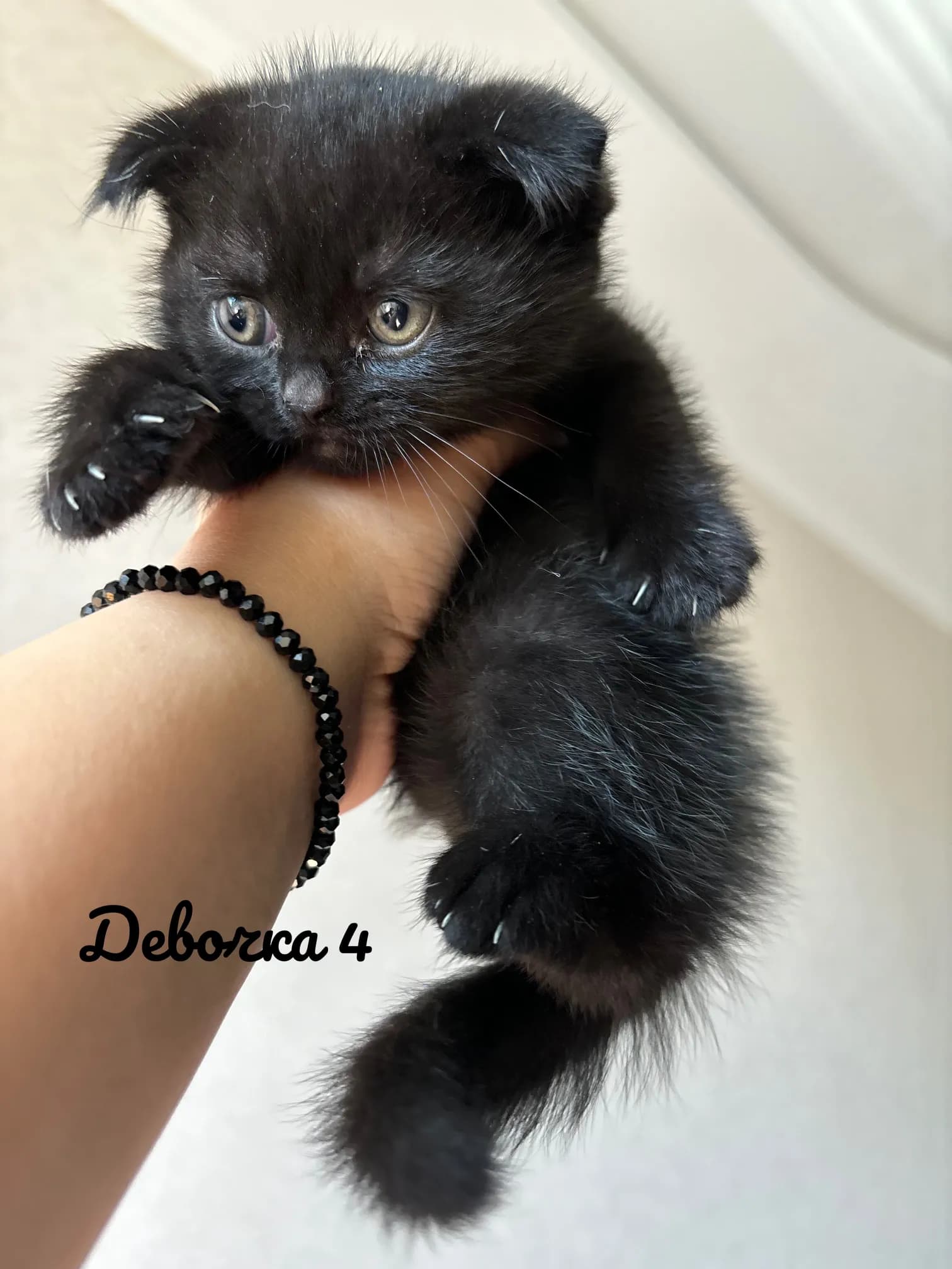 carousel-image-mobile-3