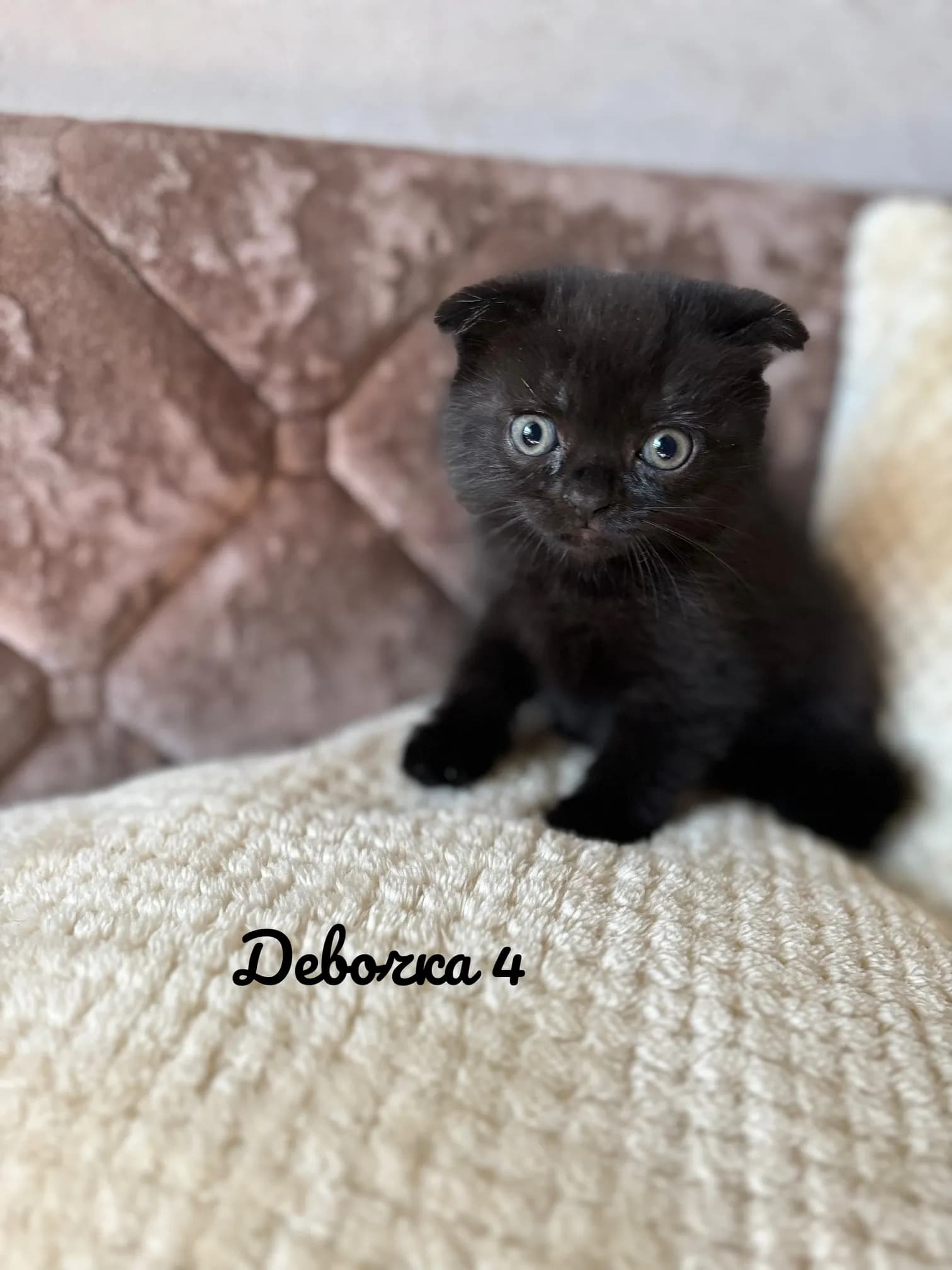 carousel-image-mobile-4