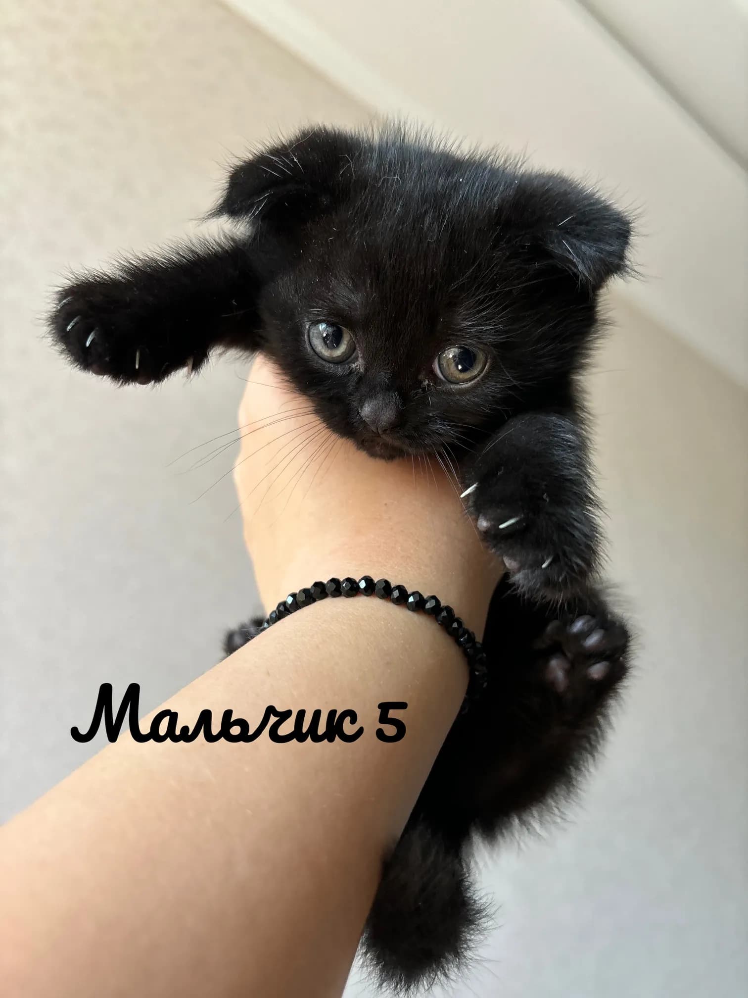 carousel-image-mobile-5