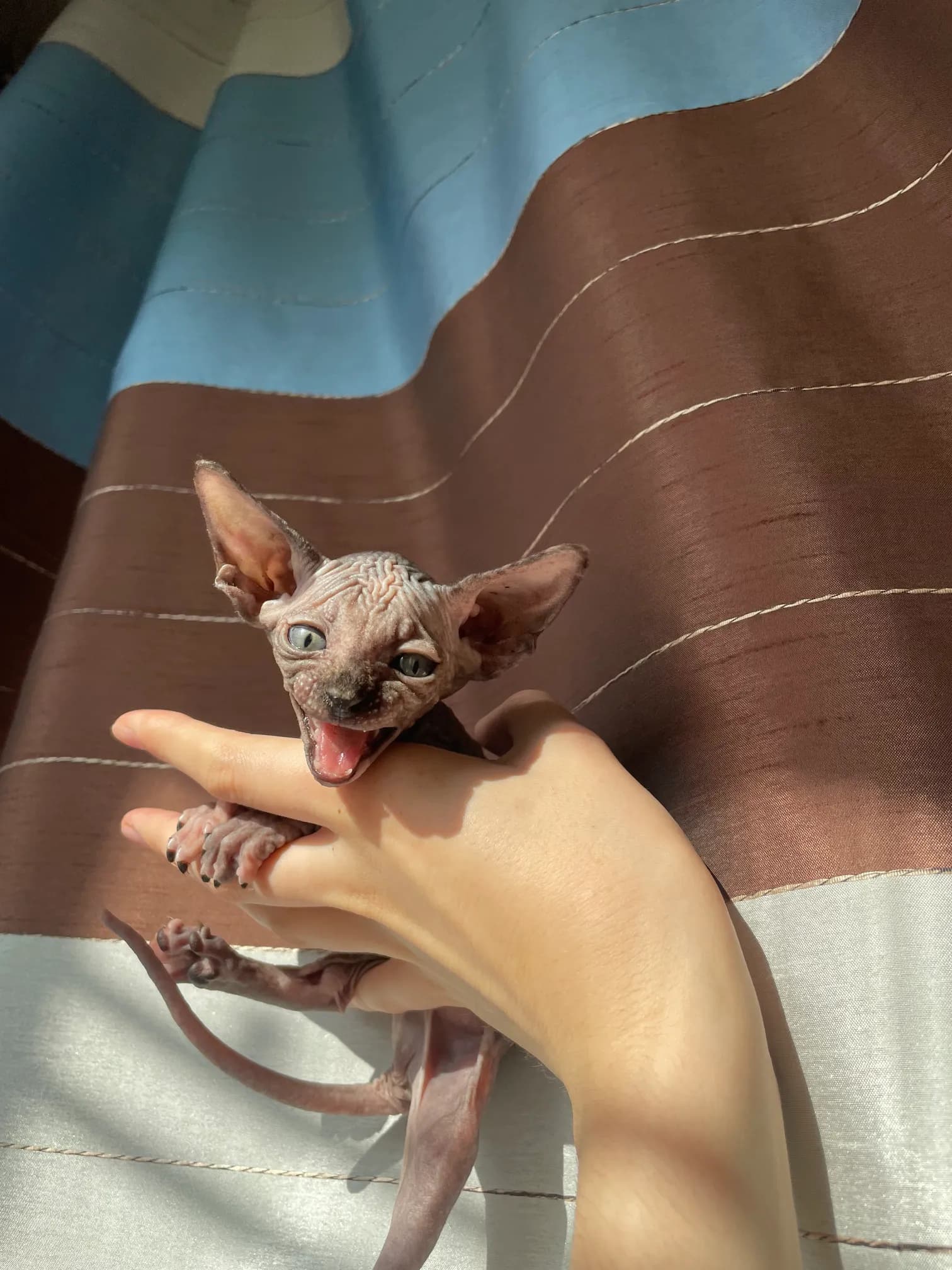 carousel-image-mobile-1