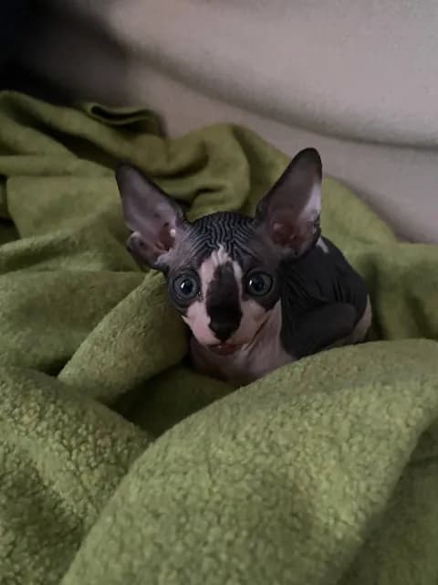 carousel-image-mobile-3