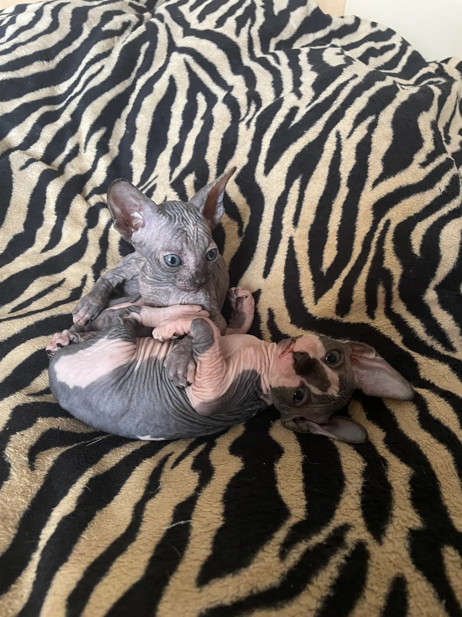 carousel-image-mobile-5