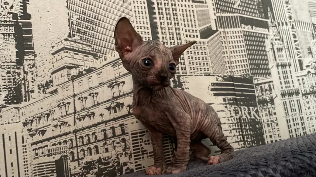 carousel-image-mobile-7