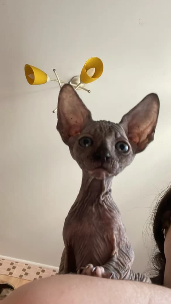 carousel-image-mobile-8